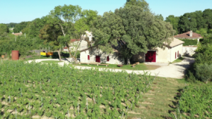 La pigotte