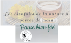 PAUSE BIEN FEE